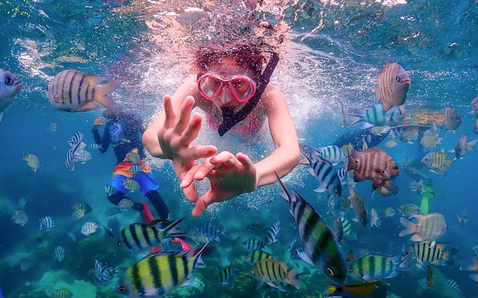 Snorkeler surrounded by colorful fish in clear waters on Nemo Island day trip from Pattaya.