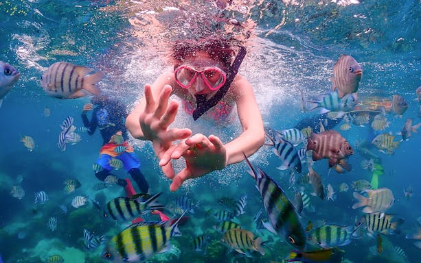 Snorkeler surrounded by colorful fish in clear waters on Nemo Island day trip from Pattaya.