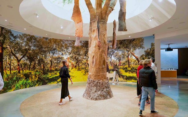 Visitors exploring cork tree exhibit at Planet Cork.
