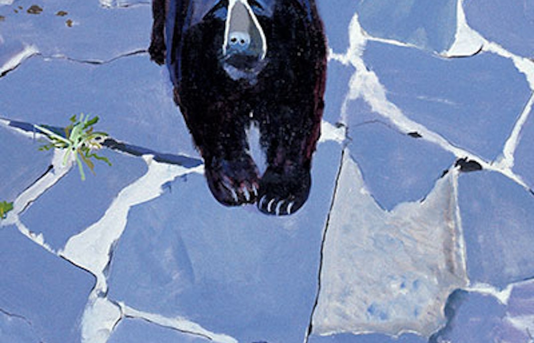 Gilles Aillaud Political Animal