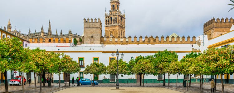 La Giralda Seville Courtyard orange trees