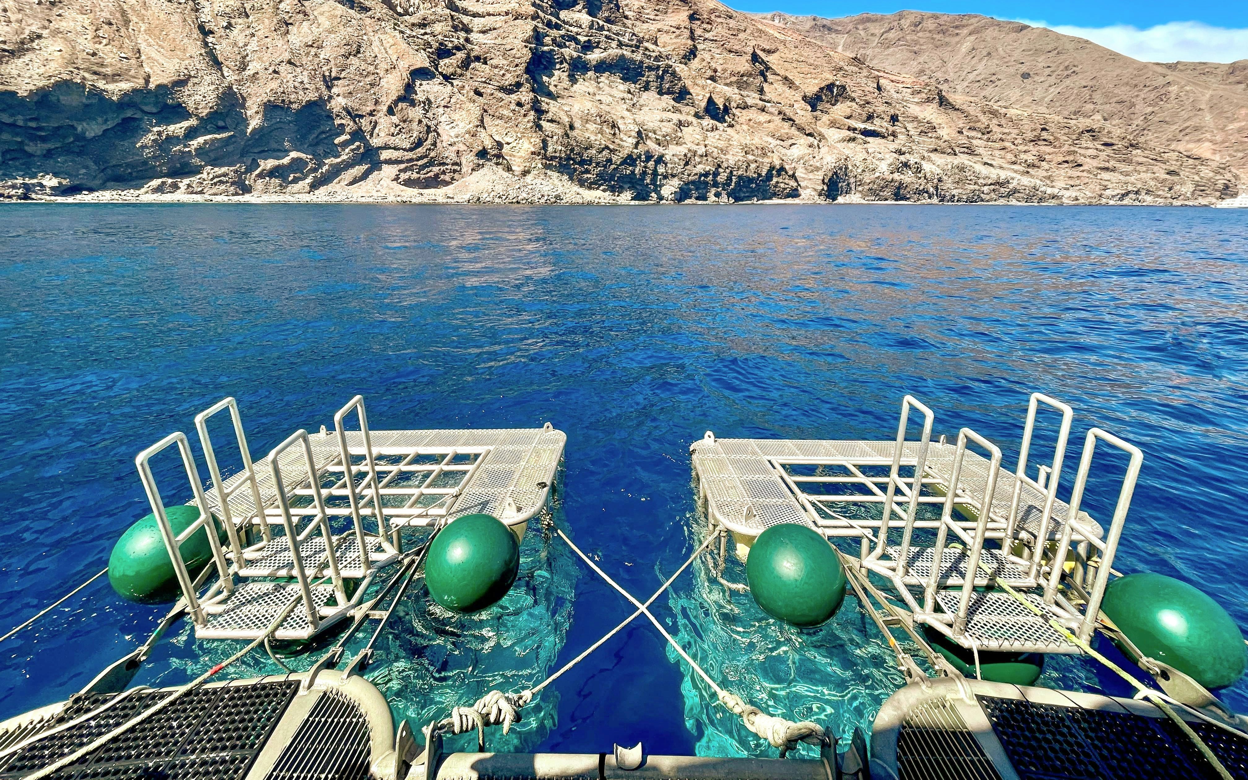Cage diving platforms on a boat in clear blue waters near rocky cliffs.