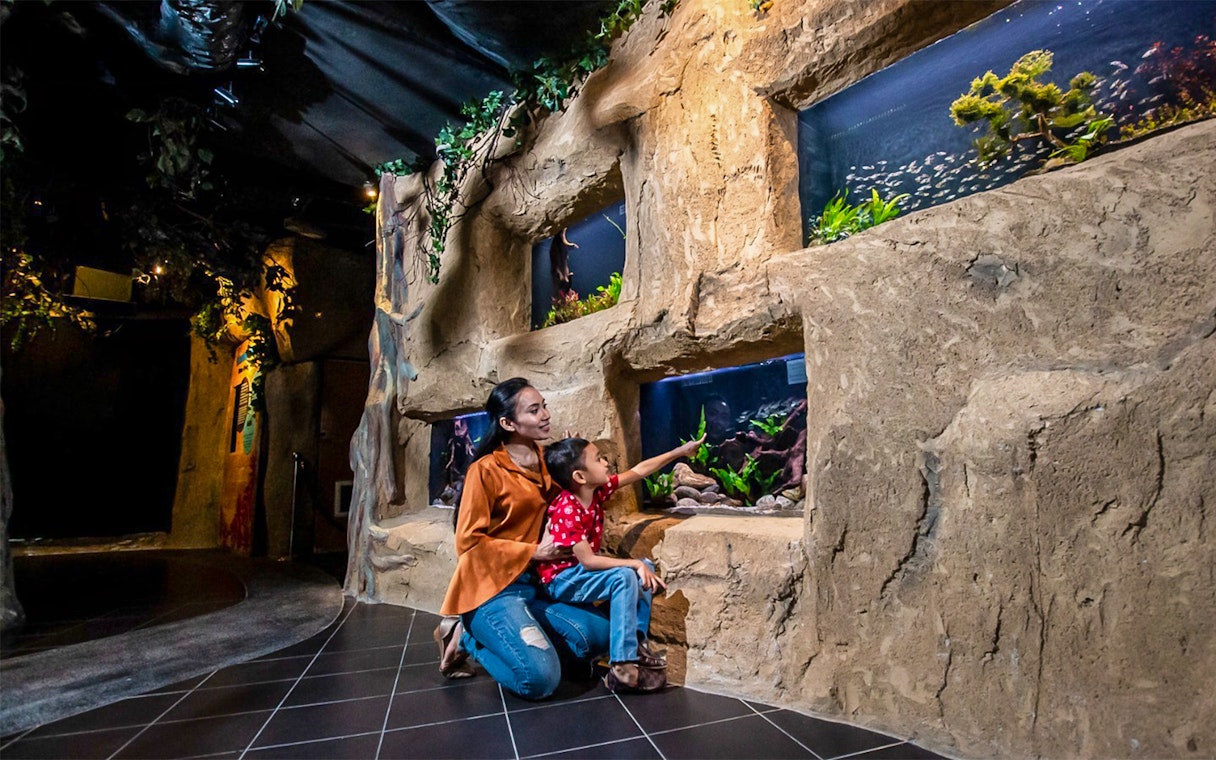 Mother and son exploring aquarium exhibits at Aquaria KLCC.