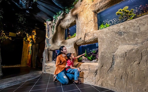 Mother and son exploring aquarium exhibits at Aquaria KLCC.