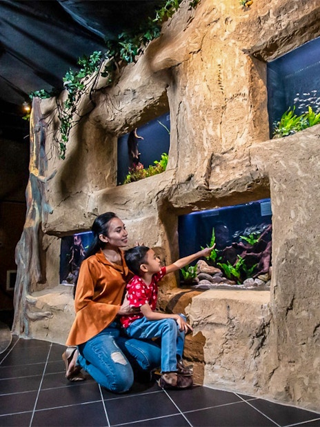 Mother and son exploring aquarium exhibits at Aquaria KLCC.