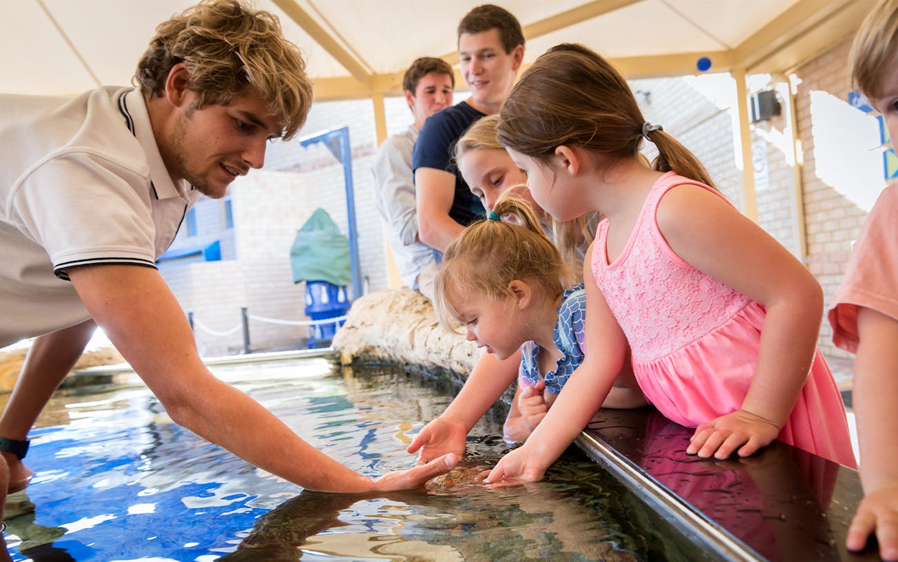 Children interacting with marine life at AQWA touch pool.