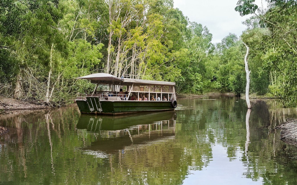 Boat tour through lush greenery at Hartley's Crocodile Adventures.