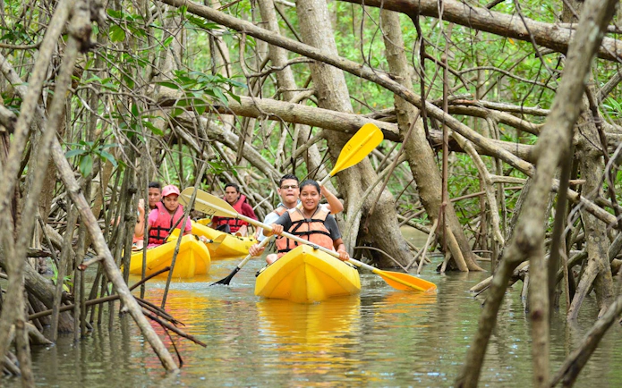 Kayakers navigating through mangrove estuary on Damas Island tour from Manuel Antonio.