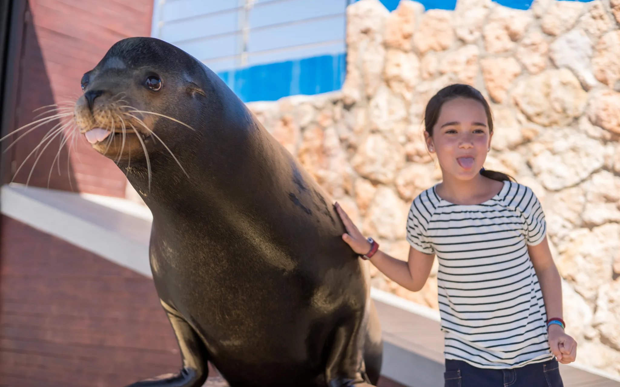 Kid interacting with a sea lion at Marineland Mallorca.