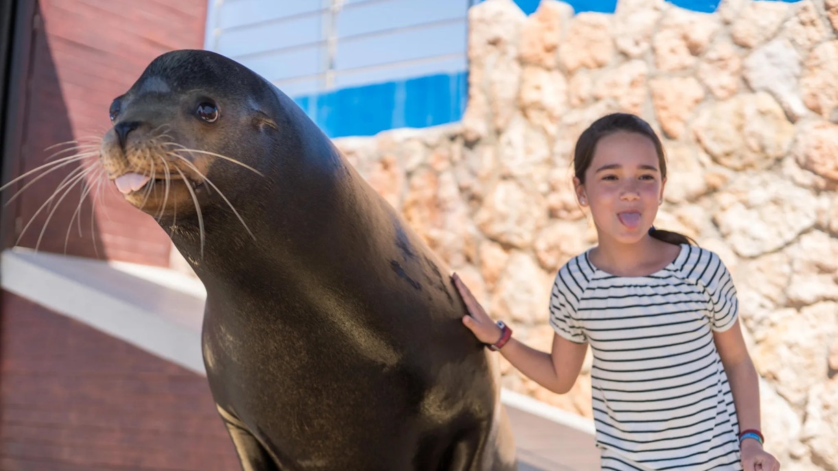 Kid interacting with a sea lion at Marineland Mallorca.