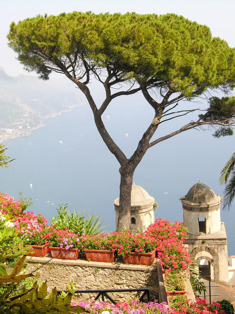 from sorrento: amalfi coast small-group minivan tour to positano, amalfi and ravello-1