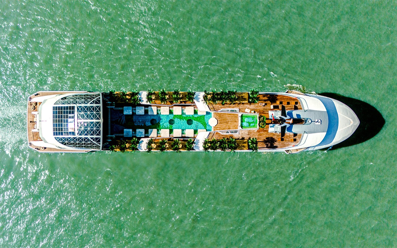 Aerial view of a cruise ship deck with pool and seating, Dolphin Cruise.