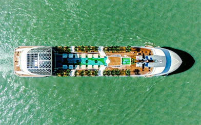 Aerial view of a cruise ship deck with pool and seating, Dolphin Cruise.