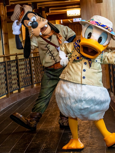 Donald Duck and Goofy in adventure outfits at Disneyland Hong Kong.