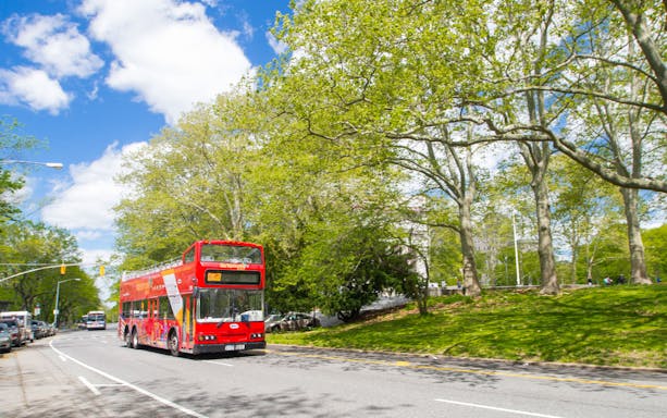 Red double-decker bus on a tree-lined street during New York City sightseeing tour.