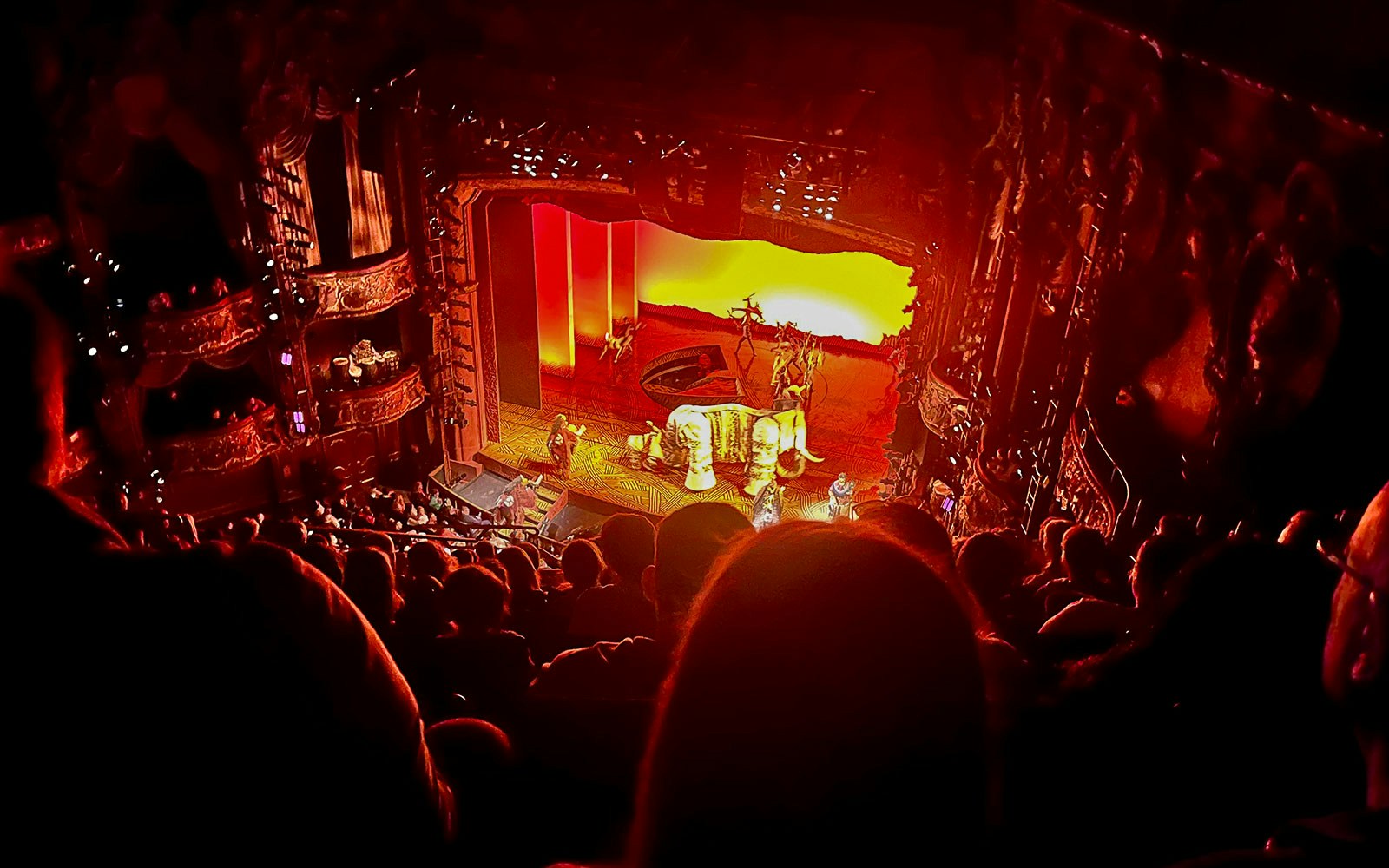 "Section: Grand Circle
Seat: L 7
Date: Apr 20, 2024
Show: Lion King"