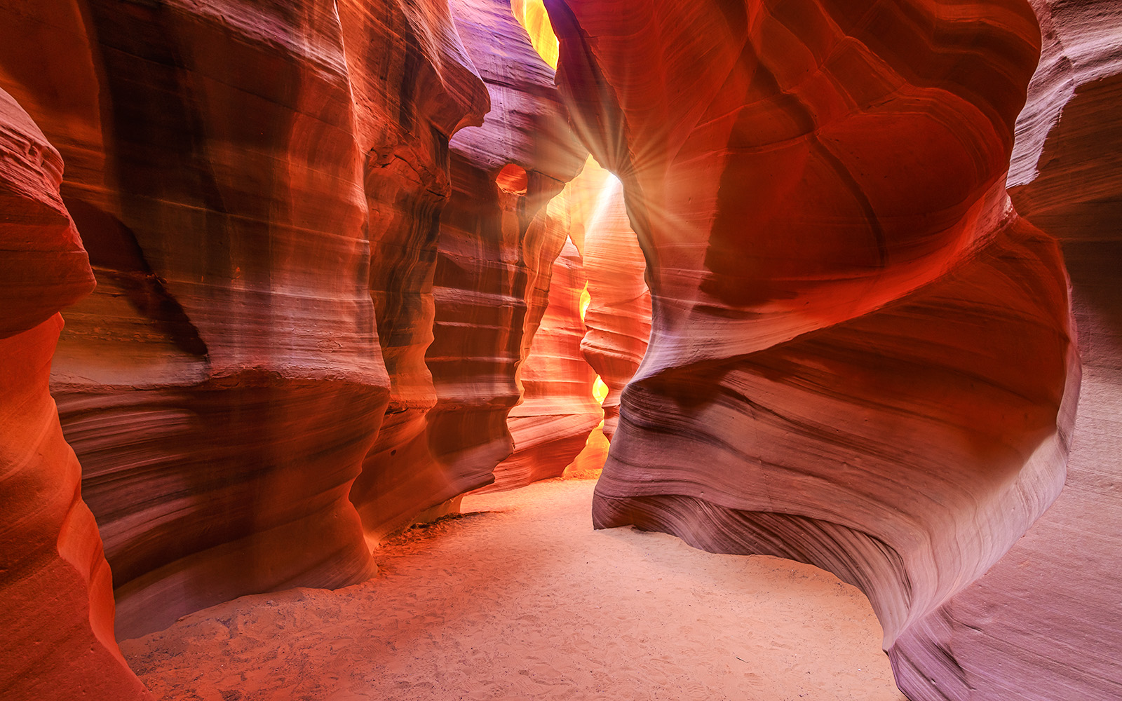 Lower Antelope Canyon's vibrant sandstone walls with sunlight streaming through.