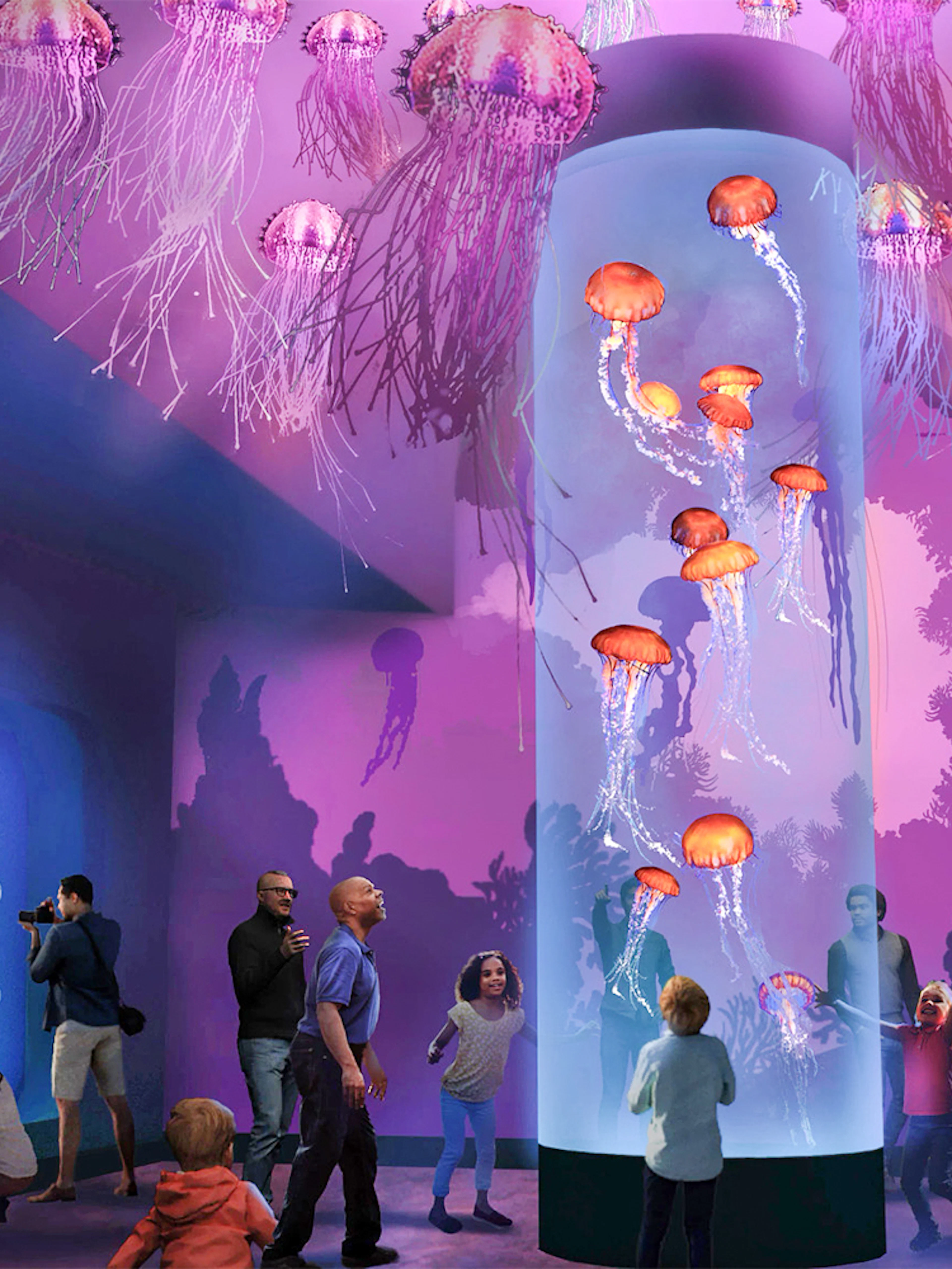 Jellyfish display at SeaWorld San Diego with visitors observing marine exhibits.