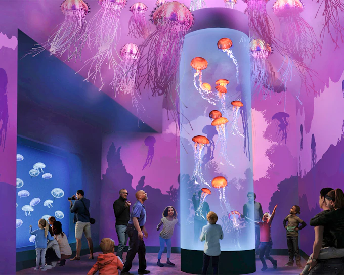 SeaWorld San Diego: Entry Tickets with All-Day Dining Add-On