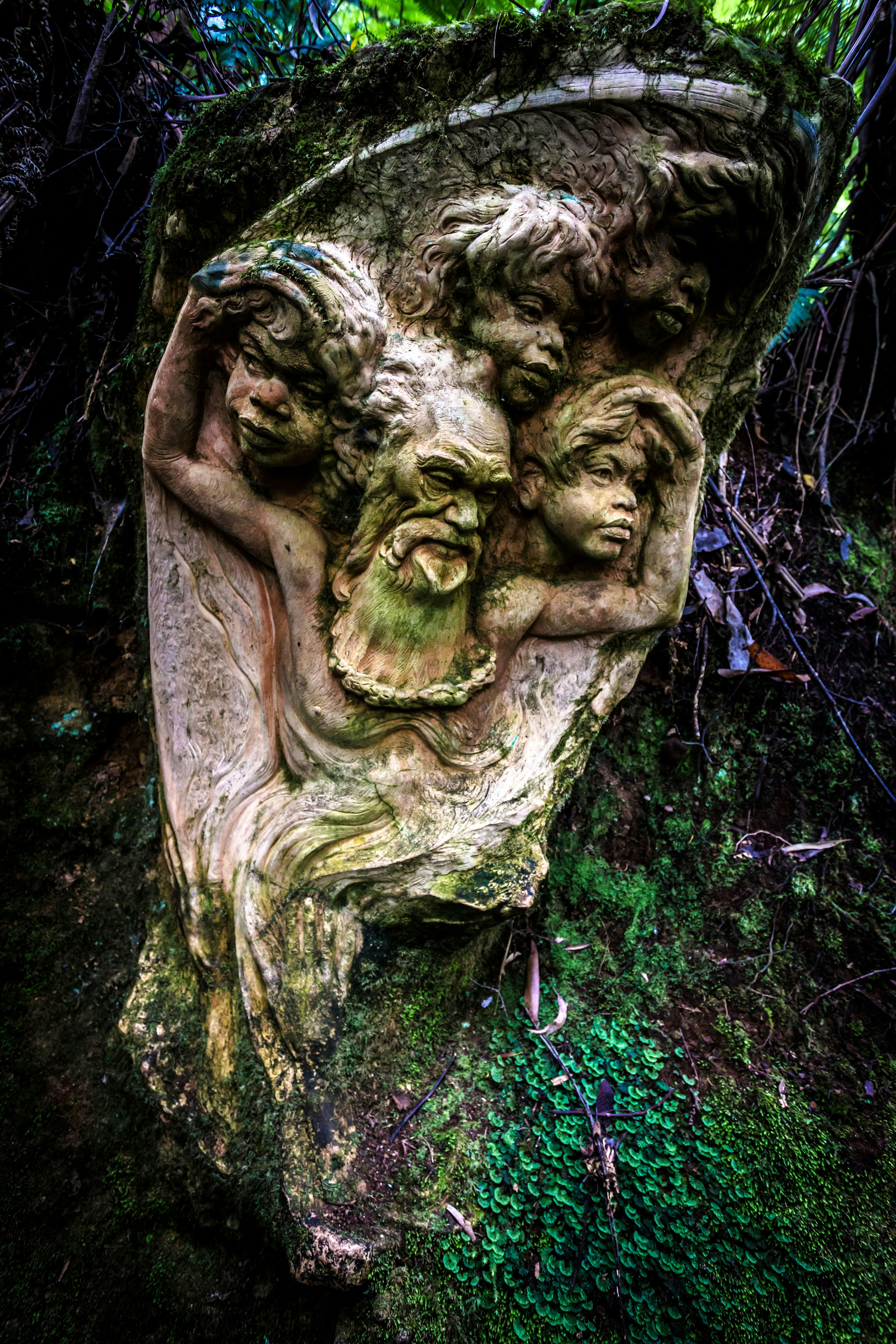 Sculpture of faces carved into a tree at William Ricketts Sanctuary, Australia.
