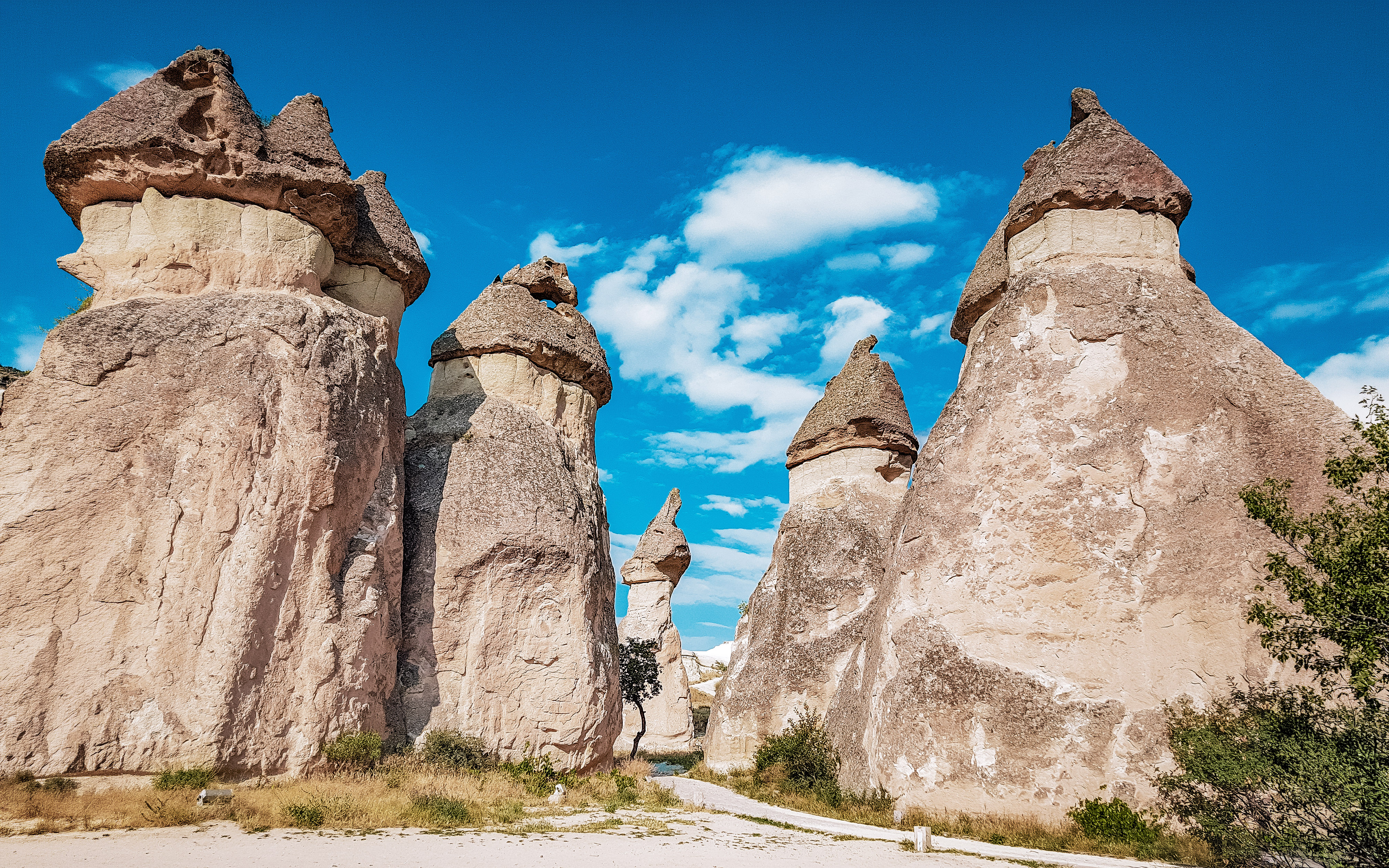 Rock formations in Pasabag Monks Valley, Cappadocia, Turkey under a clear blue sky.