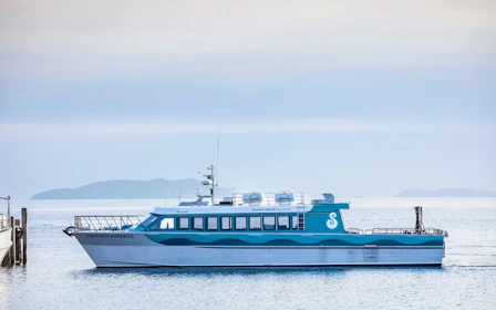 Combo: Stewart Island Round Trip Ferry Tickets