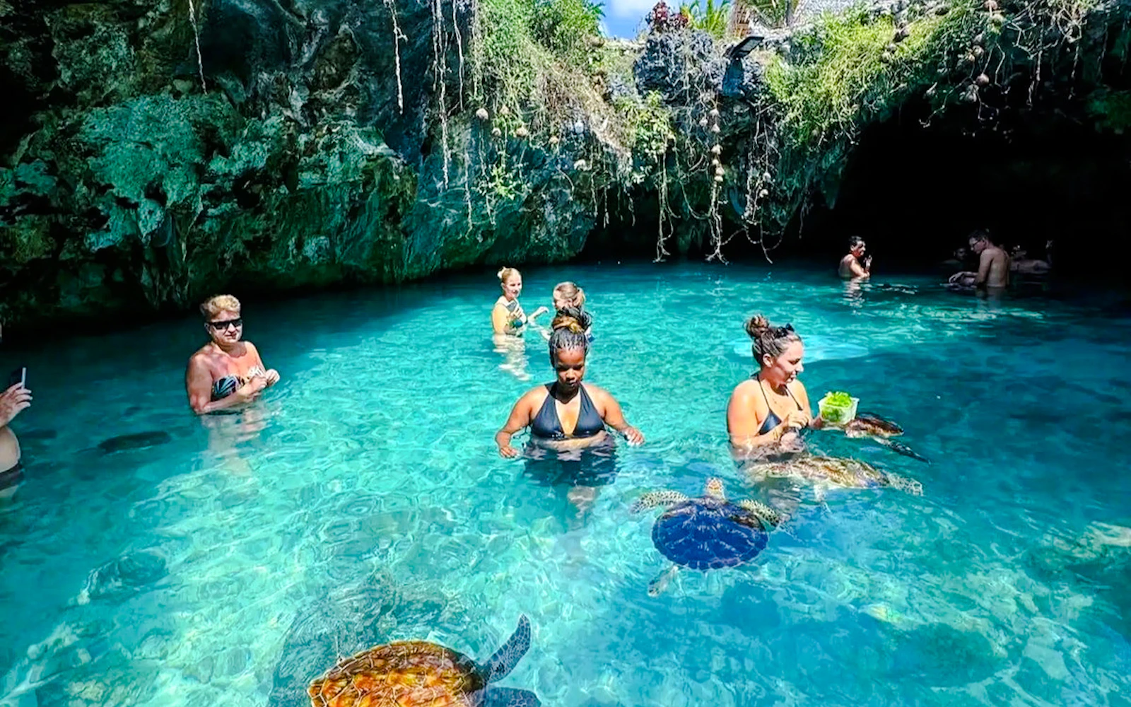 Zanzibar: Jozani Forest and Salaam Cave Private Tour with Hotel Transfers and Entry Tickets Image 2