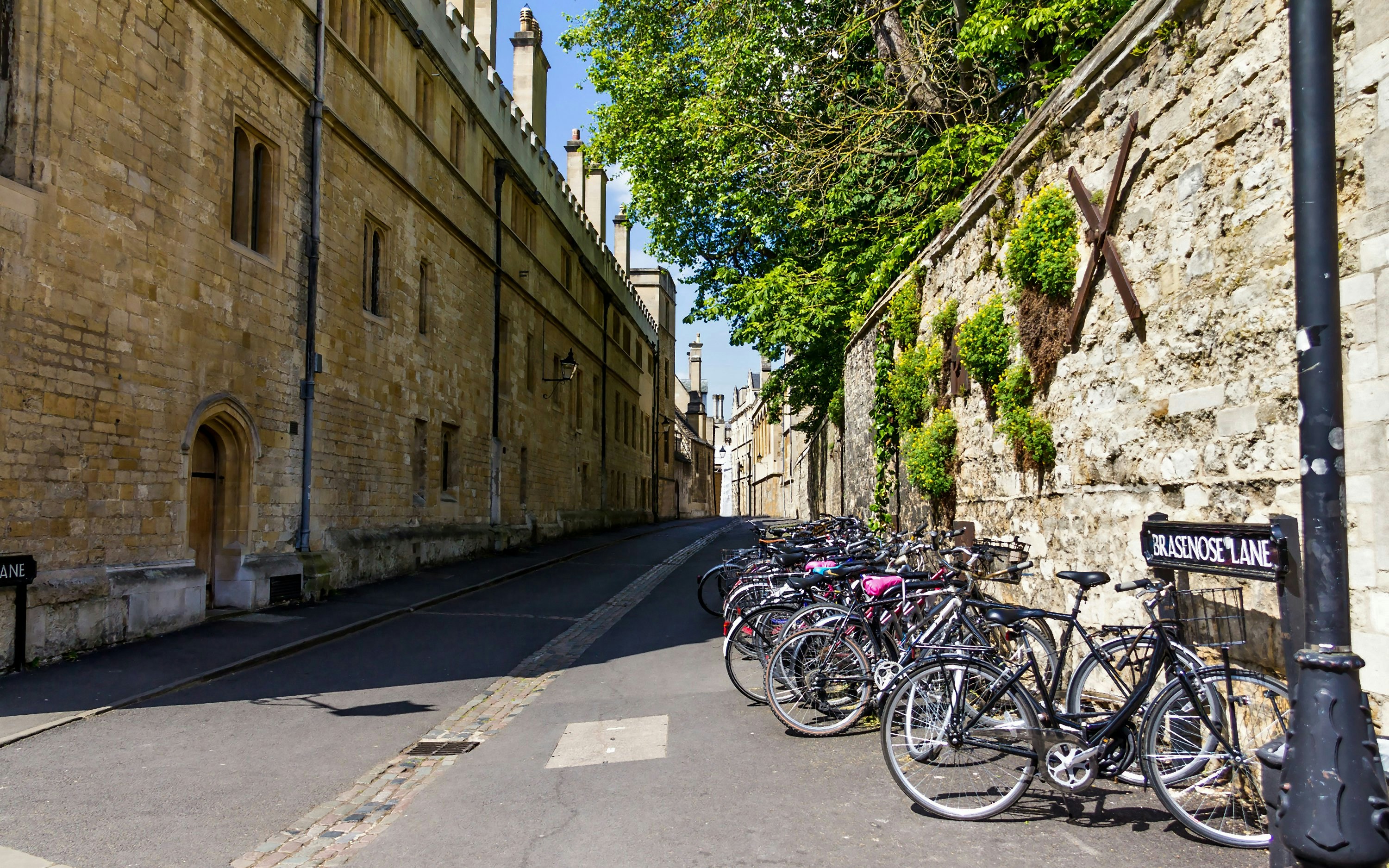 Brasenose Lane with bicycles lined up outside Oxford University College.