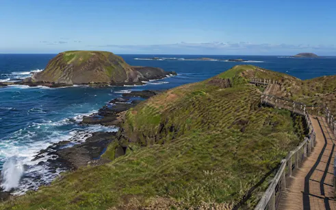 from melbourne: phillip island penguin parade private tour-1