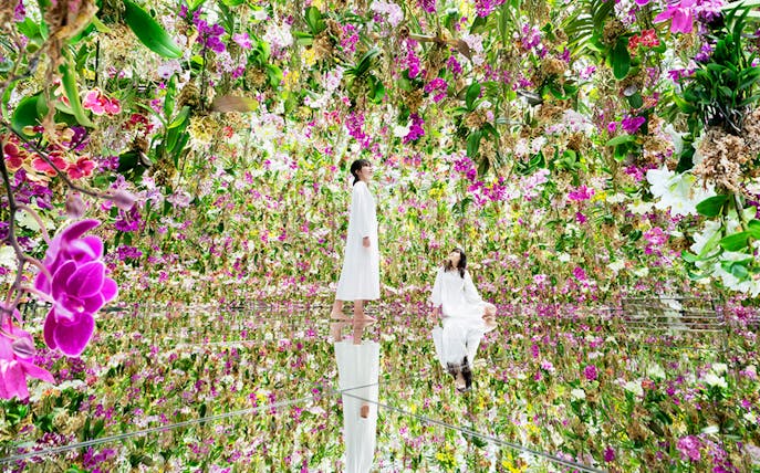 Visitors in floral installation at teamLab SuperNature Macau.