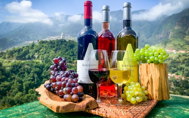 Wine bottles and glasses with grapes on a table overlooking a scenic mountain view.
