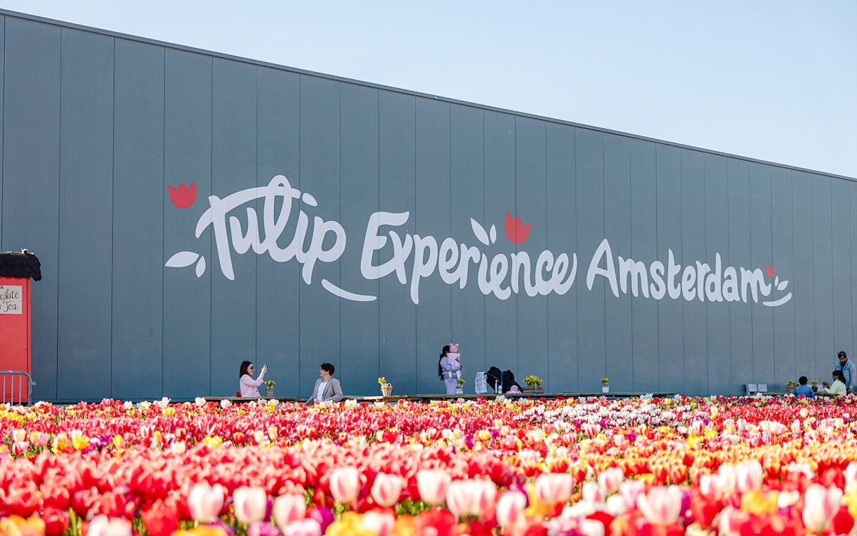 Tulip Experience Amsterdam sign with colorful tulip field in foreground.