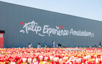 Tulip Experience Amsterdam sign with colorful tulip field in foreground.