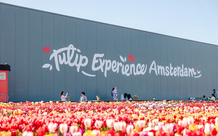 Tulip Experience Amsterdam sign with colorful tulip field in foreground.