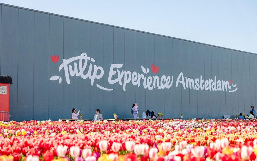 Tulip Experience Amsterdam sign with colorful tulip field in foreground.