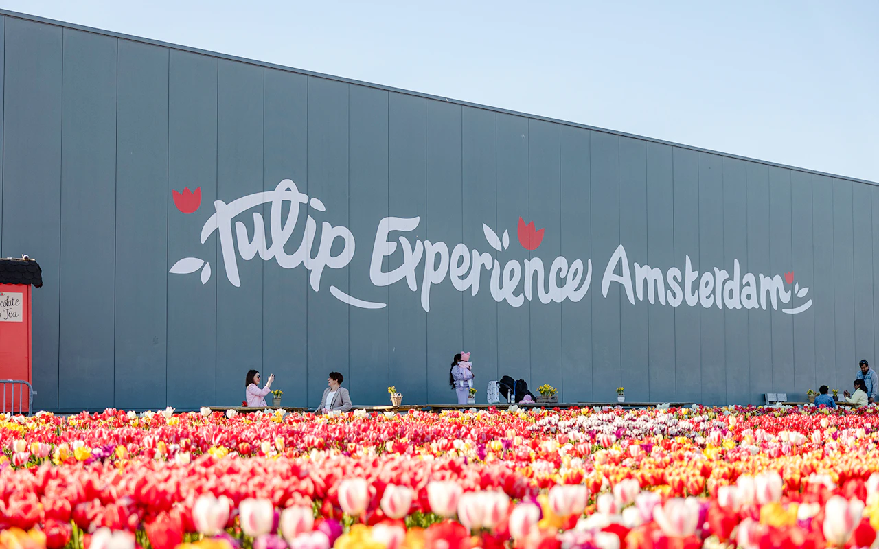 Tulip Experience Tickets mit Besuch der Tulpenfelder und optionalem Transfer ab Amsterdam — 2