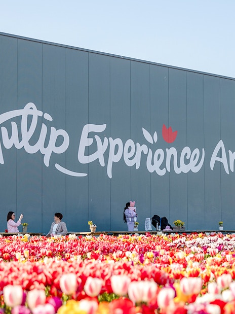 Tulip Experience Amsterdam sign with colorful tulip field in foreground.
