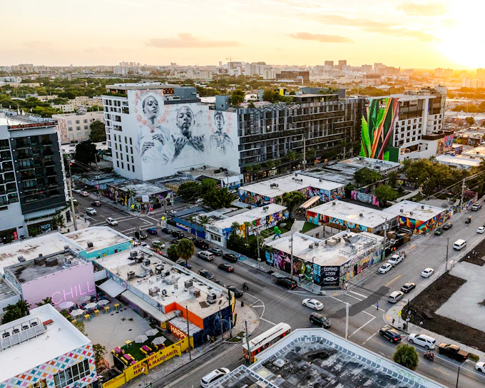 Wynwood Walls Skip-The-Line Ticket