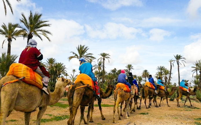 Camel riders in colorful attire on a sunset tour through the Palmeraie, surrounded by palm trees.