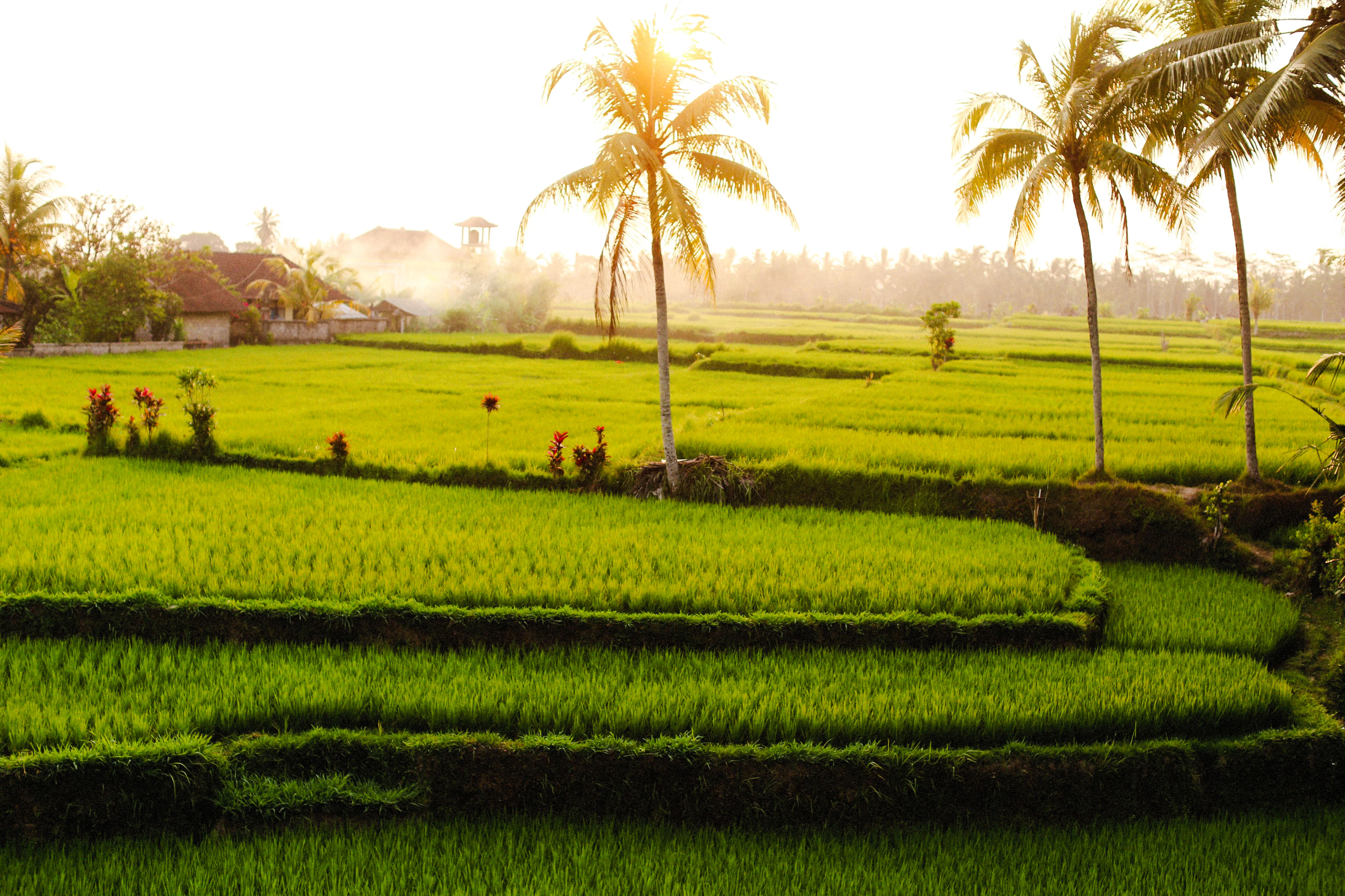 soukromá prohlídka míst na bali známých z instagramu-10