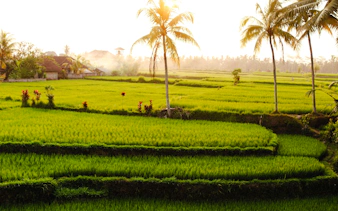 soukromá prohlídka míst na bali známých z instagramu-10