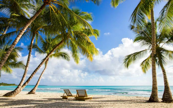 Sun loungers under palm trees on Saona Island Beach with turquoise sea.