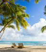 Isla de Saona