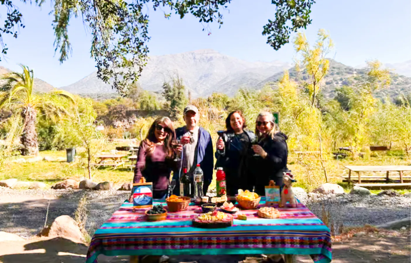 Group enjoying picnic with Chilean wine at Cajón del Maipo, Santiago, with mountains in the background.