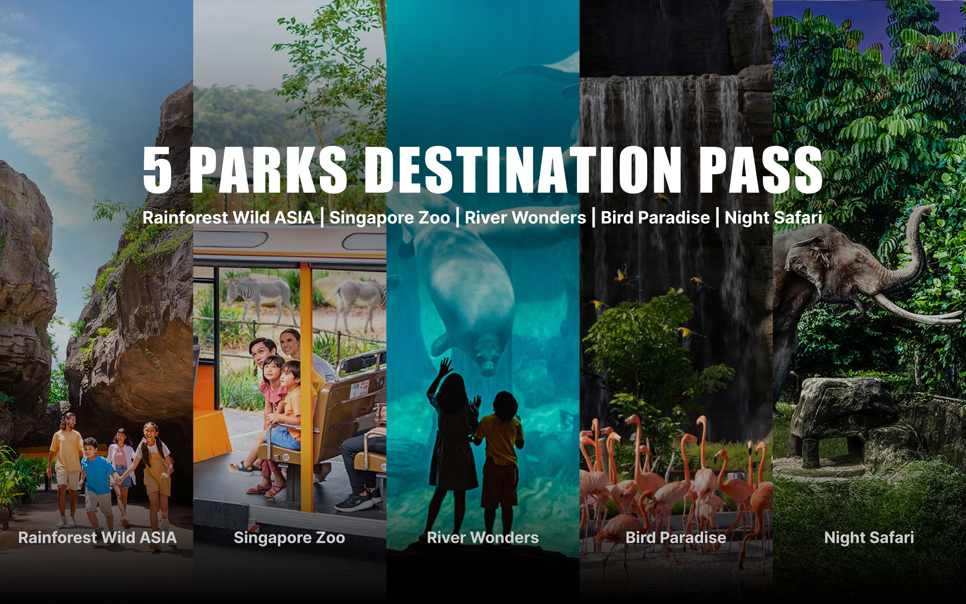 Mandai Wildlife Pass featuring Rainforest Wild Asia, Singapore Zoo, River Wonders, Bird Paradise, Night Safari.