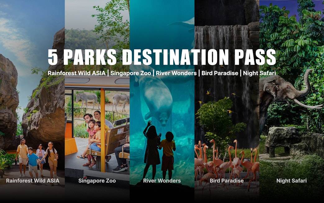 Mandai Wildlife Pass featuring Rainforest Wild Asia, Singapore Zoo, River Wonders, Bird Paradise, Night Safari.