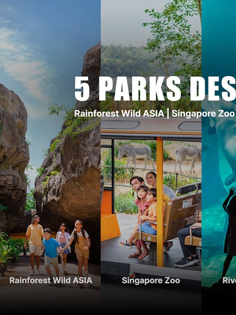 Mandai Wildlife Pass featuring Rainforest Wild Asia, Singapore Zoo, River Wonders, Bird Paradise, Night Safari.