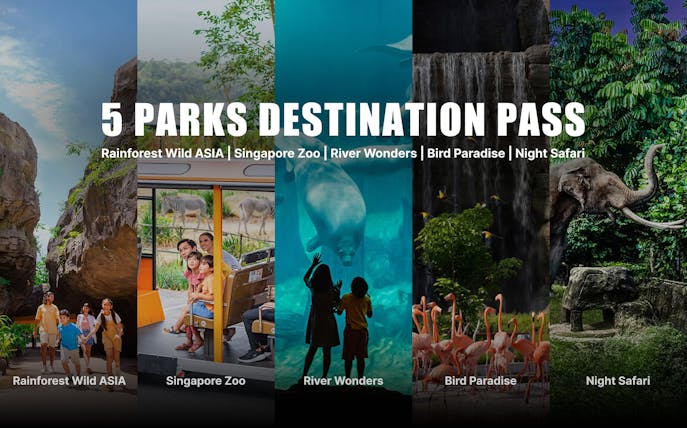 Mandai Wildlife Pass featuring Rainforest Wild Asia, Singapore Zoo, River Wonders, Bird Paradise, Night Safari.