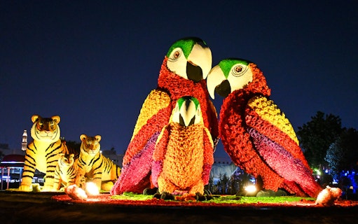 Floral parrot and tiger sculptures illuminated at Dubai Garden Glow.