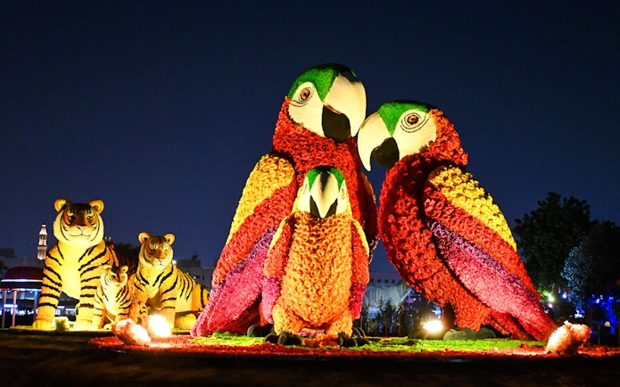 Floral parrot and tiger sculptures illuminated at Dubai Garden Glow.